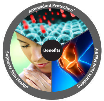 Hỗ trợ sức khỏe toàn diện với Trunature Pycnogenol 100 mg 60 viên