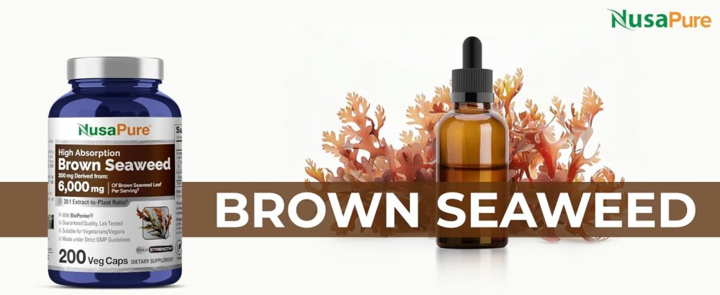 Tăng cường miễn dịch từ tảo nâu NusaPure Brown Seaweed Extract 6,000 200 viên
