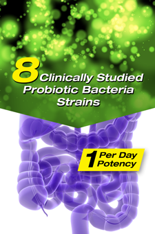 Men vi sinh Webber Naturals Complete Probiotic 75 Viên Men vi sinh Webber Naturals Complete Probiotic 75 Viên