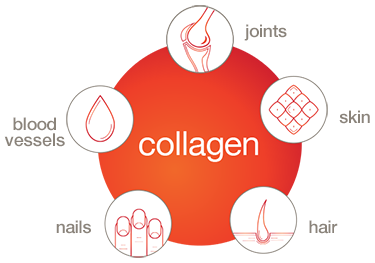 Bổ sung Collagen giúp phục hồi da tóc và móng với Youtheory Collagen Plus Biotin 390 Tablets