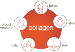 Bổ sung collagen dành cho nam Youtheory Mens Collagen Advanced Formula 390 viên