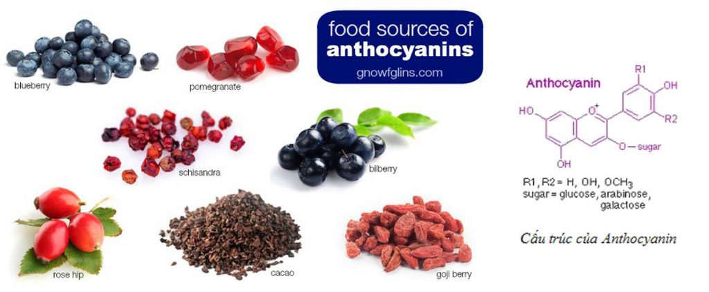 Anthocyanins là gì?