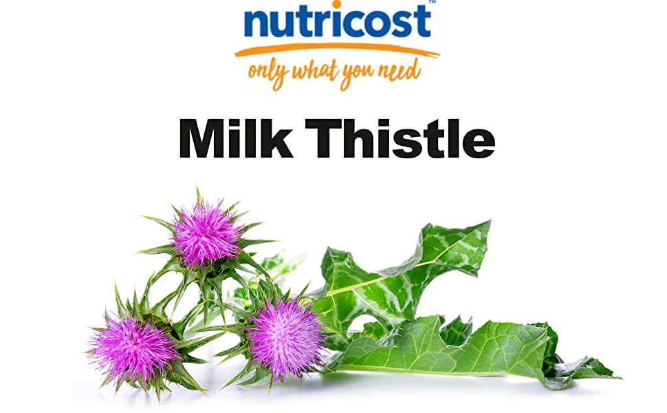 Hỗ trợ giải độc gan khỏe mạnh với Nutricost Milk Thistle 250mg 240 Capsules