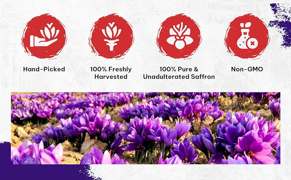 Nhụy hoa nghệ tây cao cấp nguyên chất với Divine Healing Saffron Pure Premium A+ 2 gram