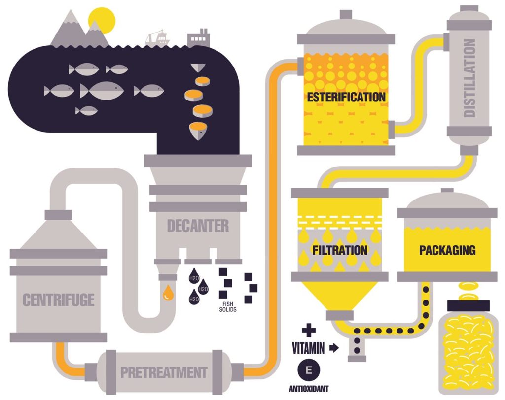 Viên nang dầu cá tinh khiết hỗ trợ sức khỏe với Pure Alaska Omega-3 Clinical Strength 500 mg EPA & DHA 180 Mini Softgels Viên nang dầu cá tinh khiết hỗ trợ sức khỏe với Pure Alaska Omega-3 Clinical Strength 500 mg EPA & DHA 180 Mini Softgels